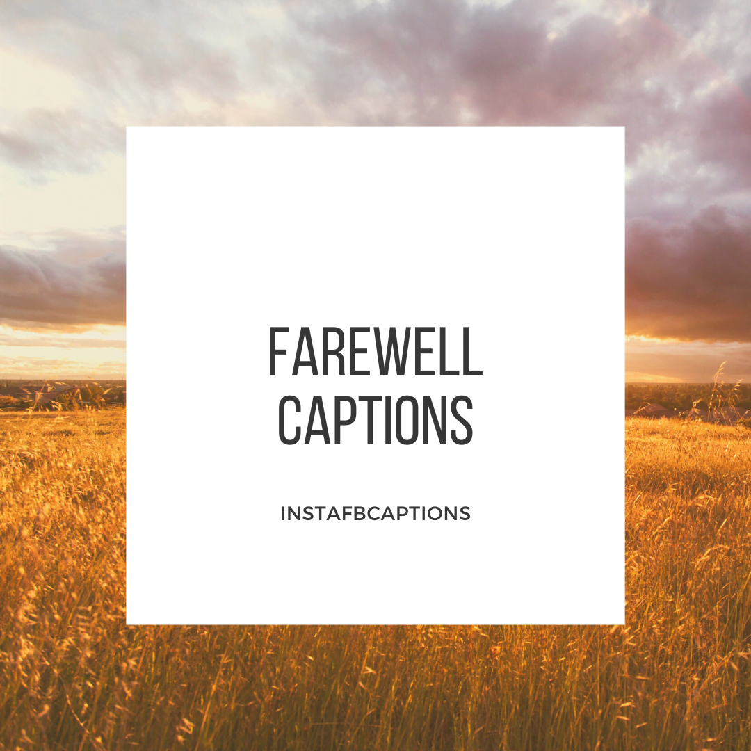 Farewell Captions  - FAREWELL Captions - [Updated] Farewell Captions for Instagram in 2023