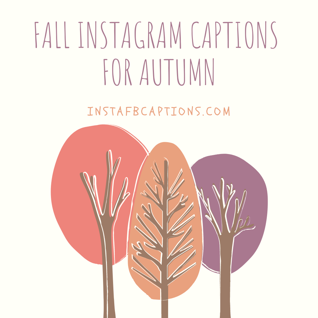 Fall Instagram Captions For Autum  - FALL Instagram Captions for AUTUMN - 120+ FALL Instagram Captions for AUTUMN 2023
