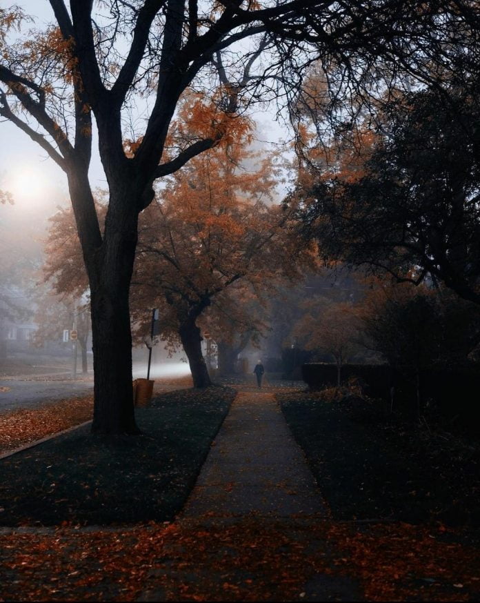 43 Best PHOTOGRAPHY Instagram Accounts To Follow In 2023