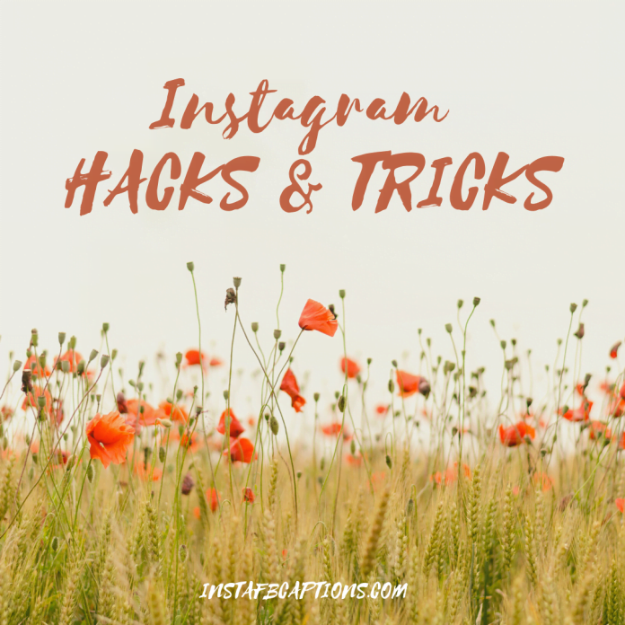 Instagram Hacks & Tricks