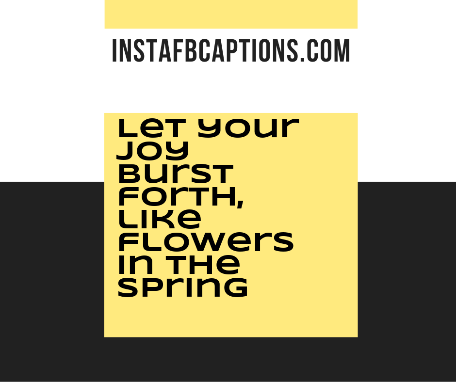 May Flower Quotes  - Let your joy burst forth like flowers in the spring - 50+ MAY Instagram Captions &#038; Quotes 2022
