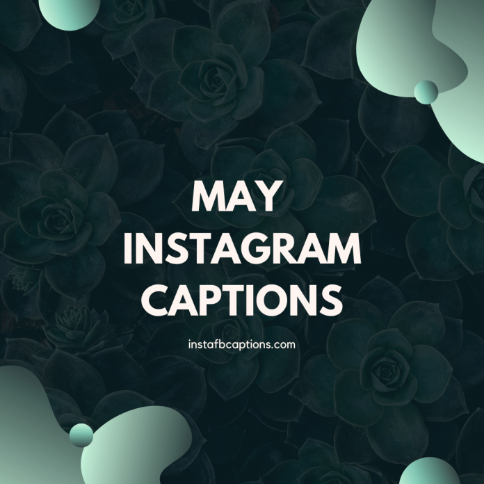May Instagram Captions