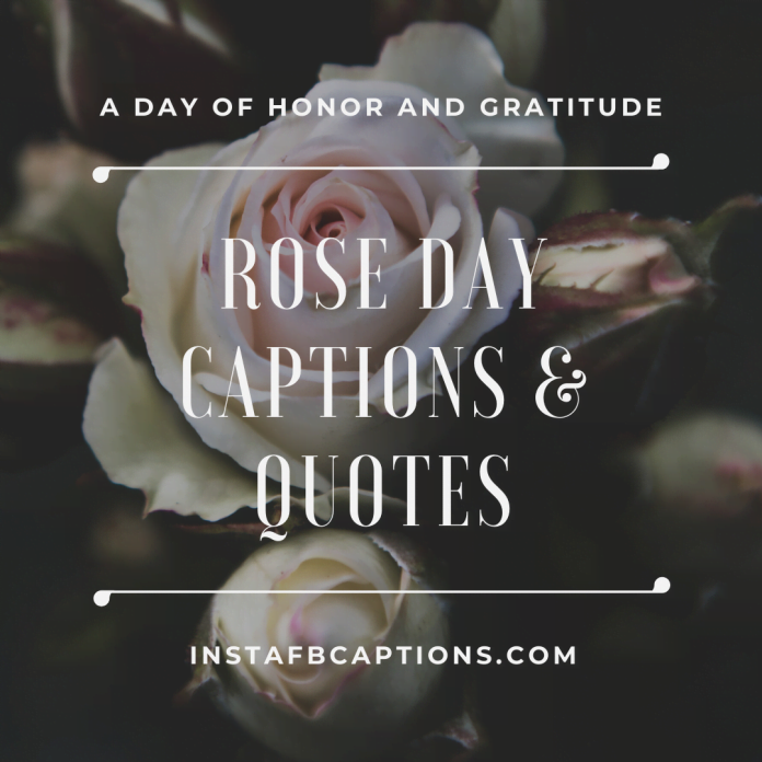 Rose Day Captions & Quotes