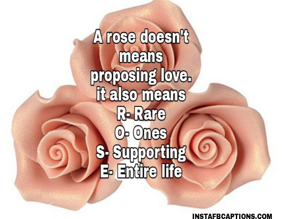 Rose Day Quotes For Wife  - Rose Day Quotes for wife - 250+ ROSE DAY Instagram Captions &#038; Quotes 2022