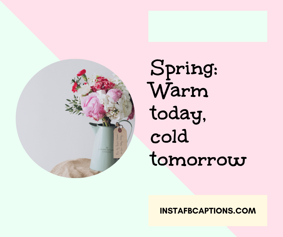 May Quotes for Calendar  - Spring Warm today cold tomorrow - 50+ MAY Instagram Captions &#038; Quotes 2022