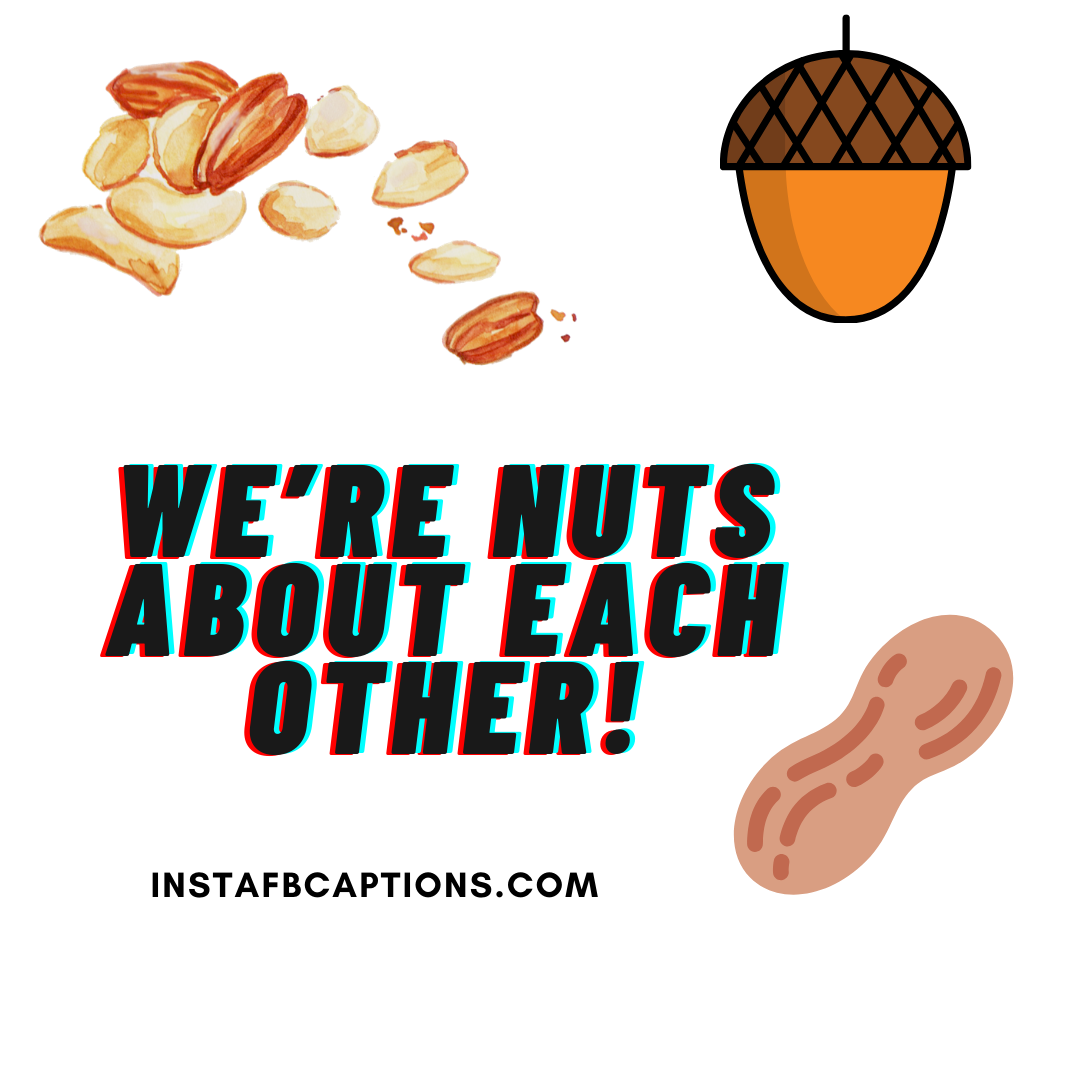 We’re Nuts About Each Other!  - We   re nuts about each other - 200+ COMMENTS For COUPLE PICS on Instagram  2022