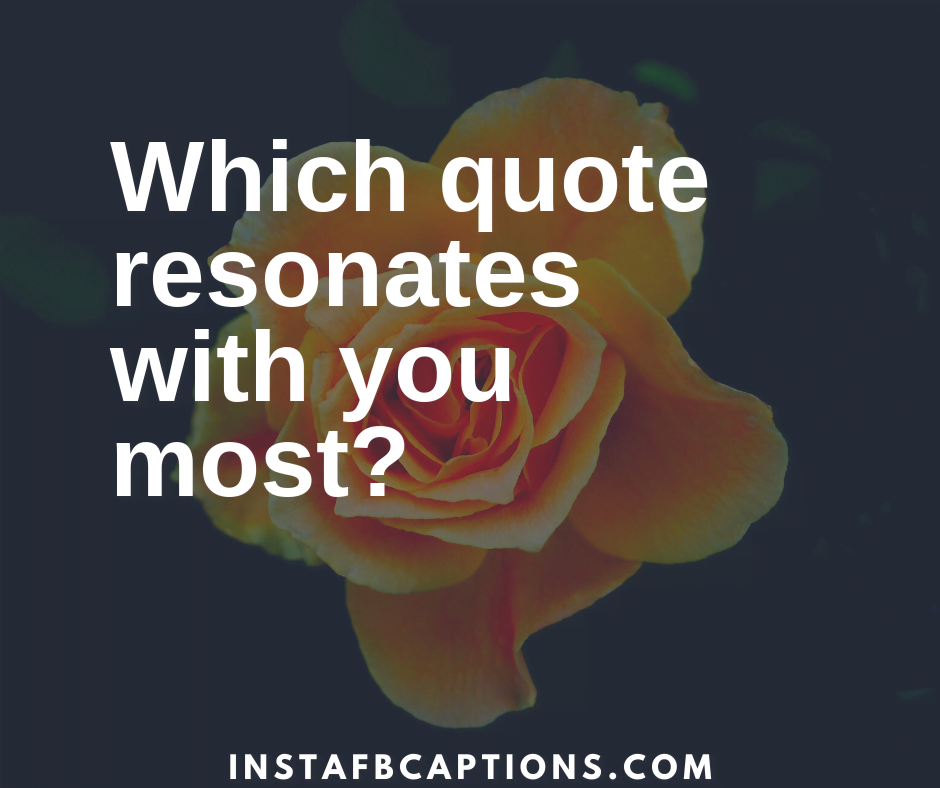 Which Quote Resonates With You Most  - Which quote resonates with you most - 150+ ASK ME A QUESTION Ideas for Instagram 2022