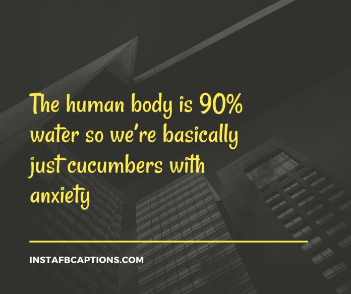 Top INFLUENCER Instagram Captions & Quotes in 2024