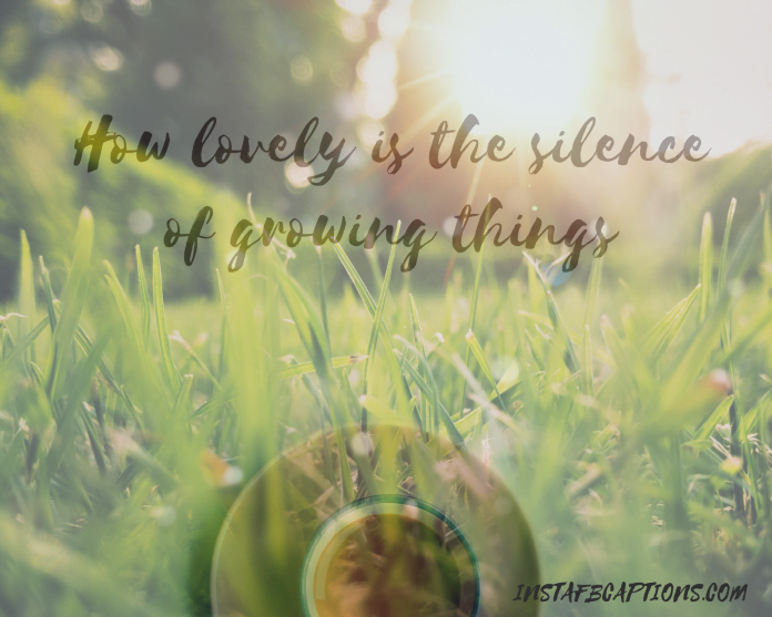 150+ Best SPRING Instagram Captions 2024 InstaFbCaptions Best