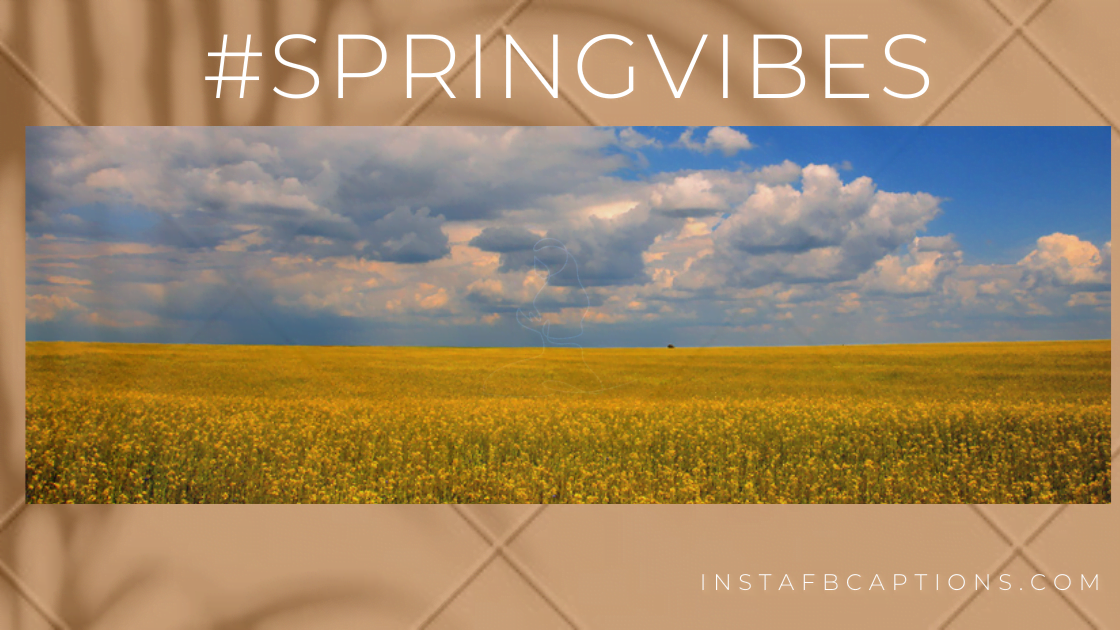 Hashtags For Spri  - Hashtags for Spring - 150+ Best SPRING Instagram Captions 2022