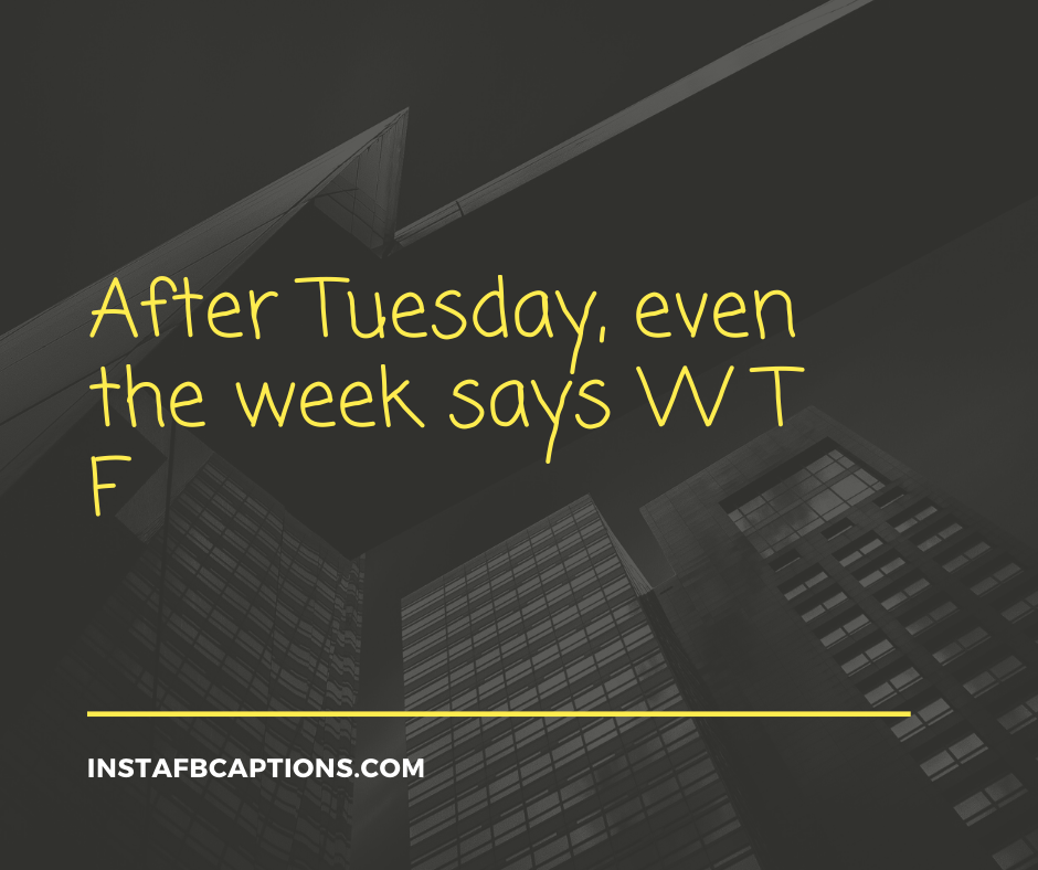 After Tuesday, even the week says W T F  - Wednesday Captions for Instagram - 140+ &#8220;Hump Day&#8221; Wednesday Captions for Instagram &#8211; Making it Through the Week [2023]