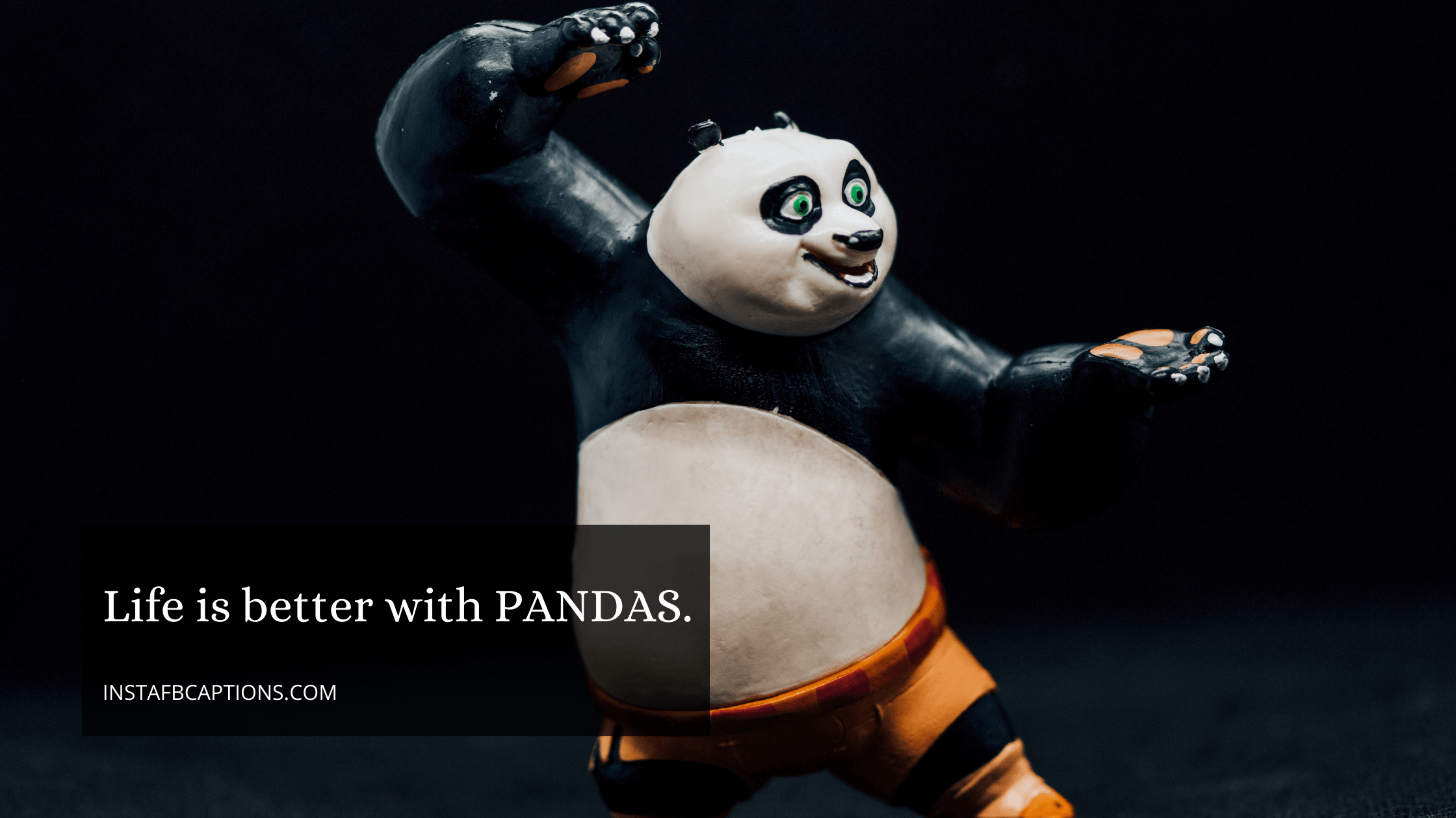Captions On Kung Fu Panda  - Captions on Kung Fu Panda - Panda Lover Captions for Instagram Pictures in 2023