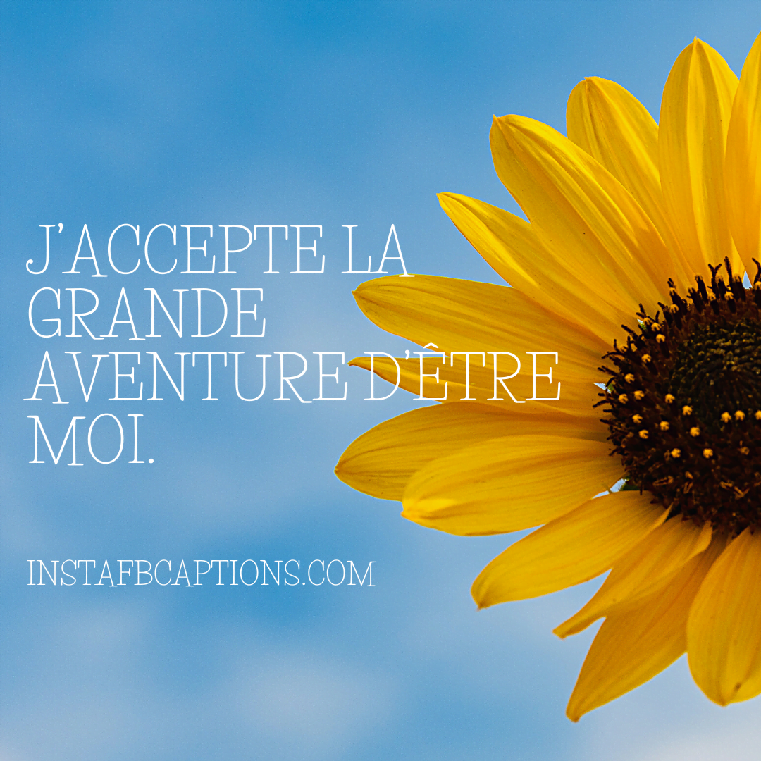 Aesthetic French Quotes  - Aesthetic French Quotes - 97 French Instagram Captions with Meaning in 2023