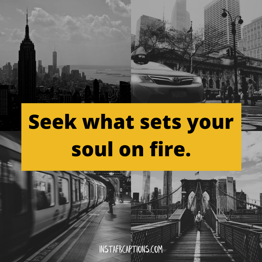 Seek what sets your soul on fire  - Best Aesthetic Captions 2021 - Aesthetic Captions &#038; Quotes For Instagram &#8211; 2023