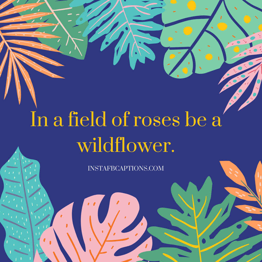 In a field of roses be a wildflower.  - Blooming Flower Captions for Instagram 1 - 2023&#8217;s Enchanting Flower Captions for Your Instagram Snapshots