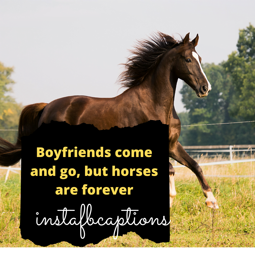 Funny caption on horses - Boyfriends come and go, but horses are forever.  - Brown and White Black Lives Matter Instagram Post 2 - Gallop into Instagram Fame: 130+ Captivating Horse Riding Captions