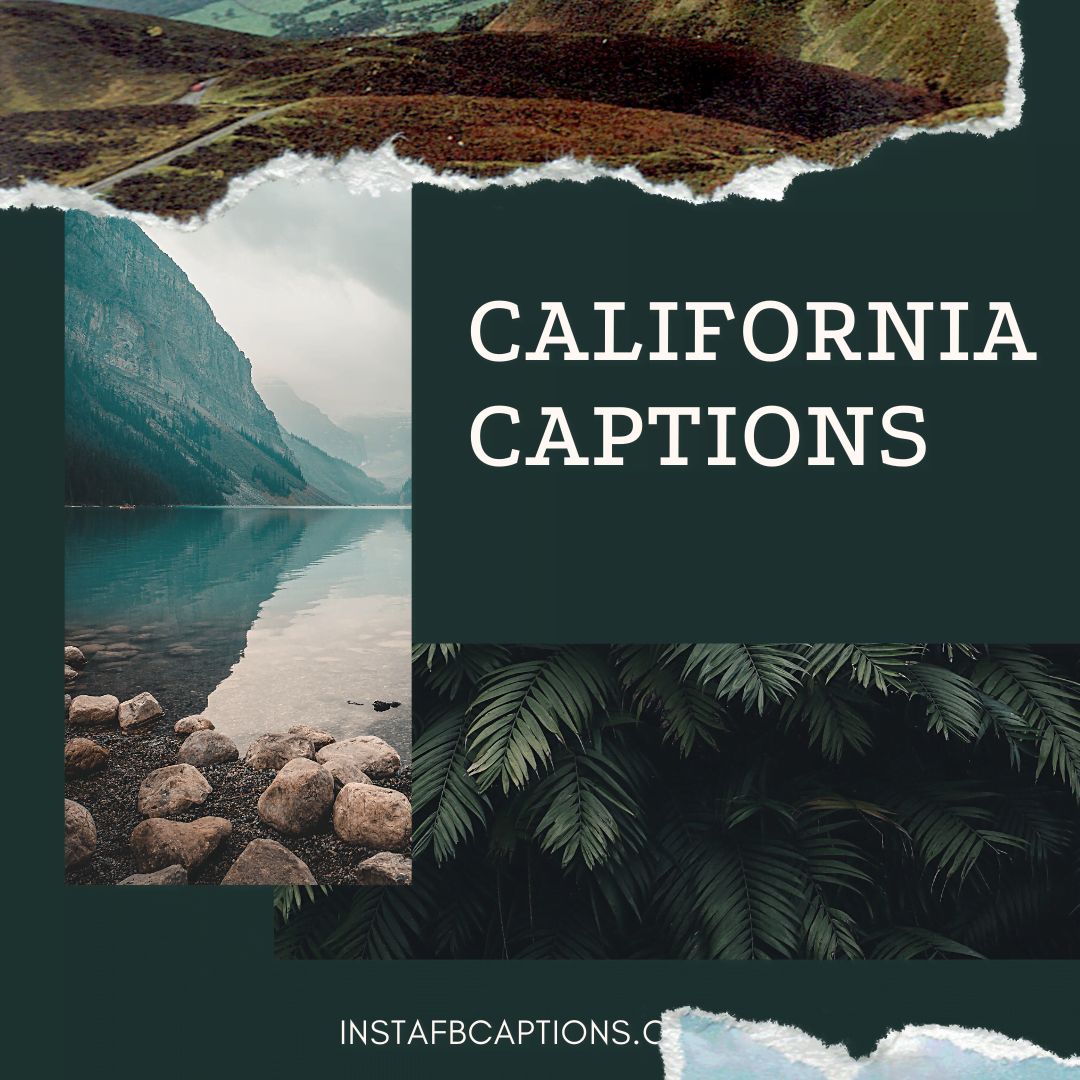 California Captions  - California Captions 1 - 85 CALIFORNIA Instagram Captions and Quotes in 2023