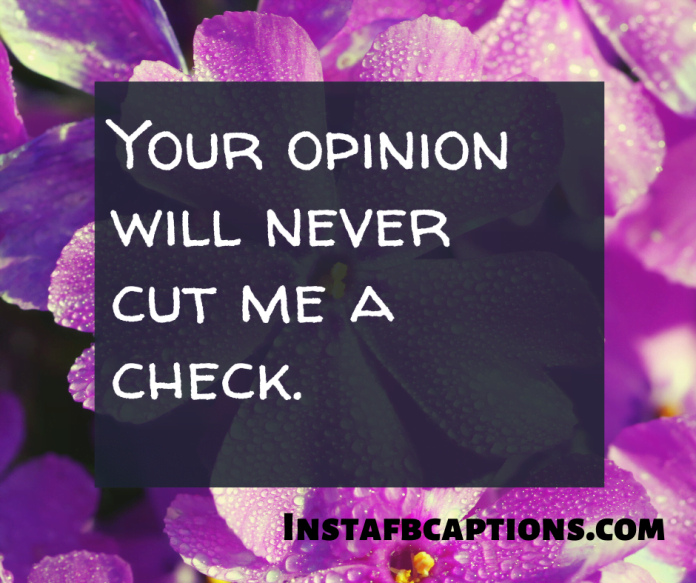 Best Collection of Instagram Captions for the Year