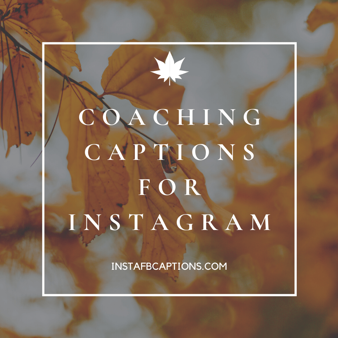 Coaching Captions For Instagram  - Coaching Captions For Instagram - 84 Coaching Instagram Captions for Mentoring in 2023