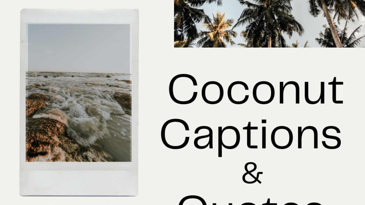 57 Coconut Instagram Captions and Quotes in 2023