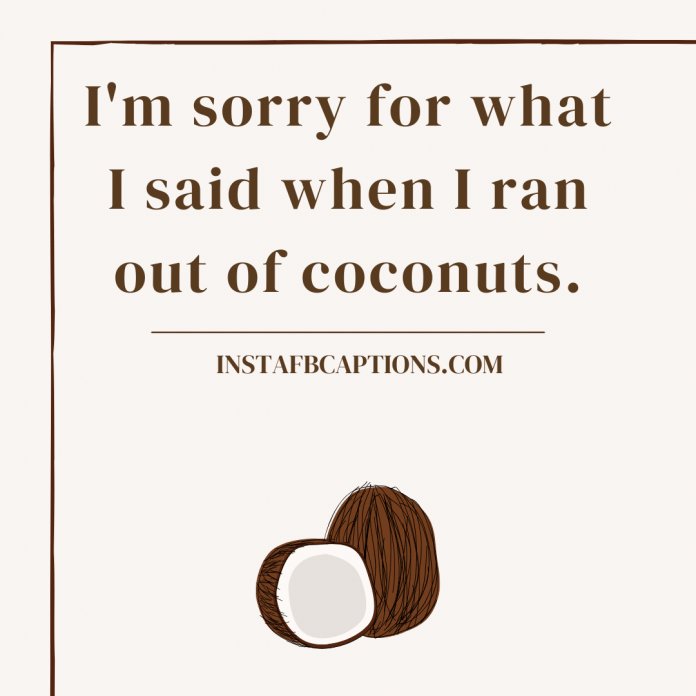 57 Coconut Instagram Captions and Quotes in 2024 InstaFbCaptions