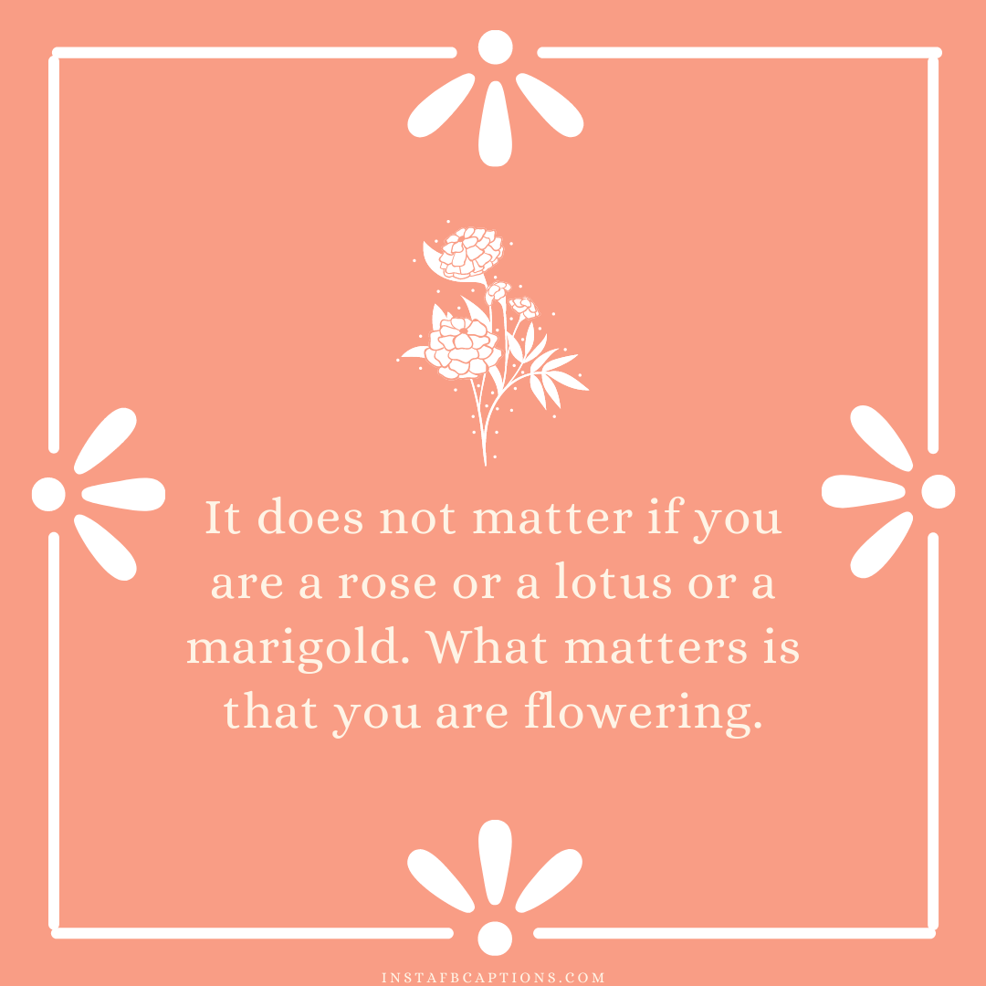It does not matter if you are a rose or a lotus or a marigold. What matters is that you are flowering.  - Marigold Flower Instagram Captions  - 2023&#8217;s Enchanting Flower Captions for Your Instagram Snapshots