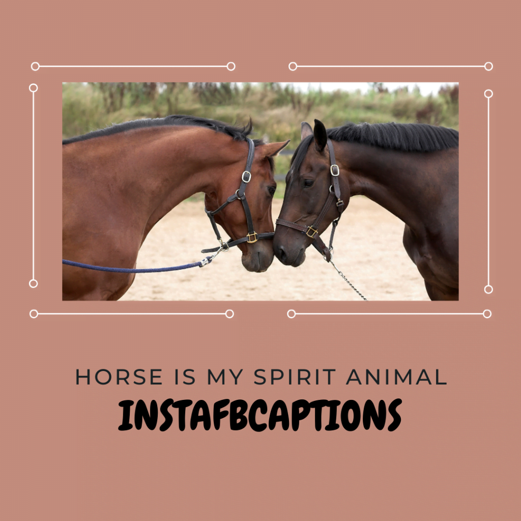 Gallop into Instagram Fame 130+ Captivating Horse Riding Captions