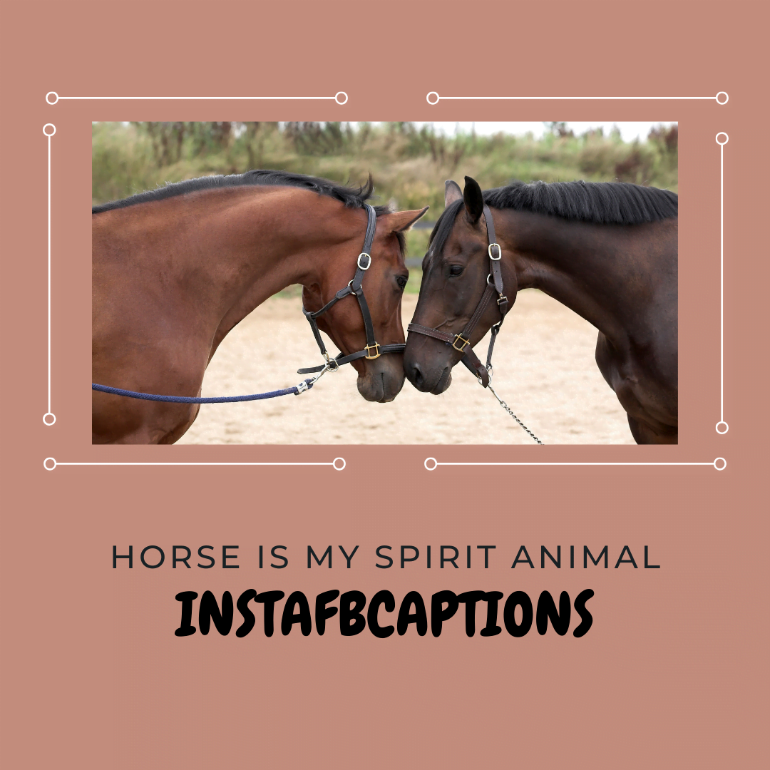 Horse is my spirit animal  - Short Horse Captions - Gallop into Instagram Fame: 130+ Captivating Horse Riding Captions