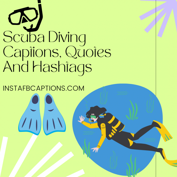 100+ Scuba Diving Captions, Quotes And Hashtags For Instagram