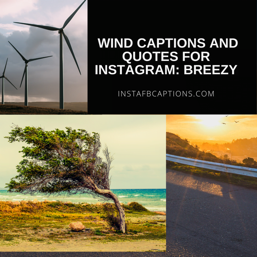 50+ Breezy WIND Captions & Quotes For Instagram in 2022