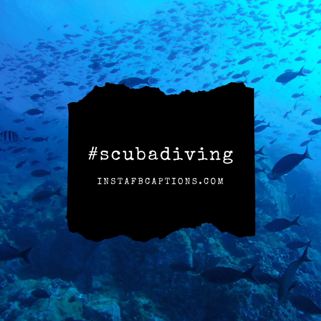 Dive Deep Captivating Scuba Diving Captions InstaFbCaptions Best