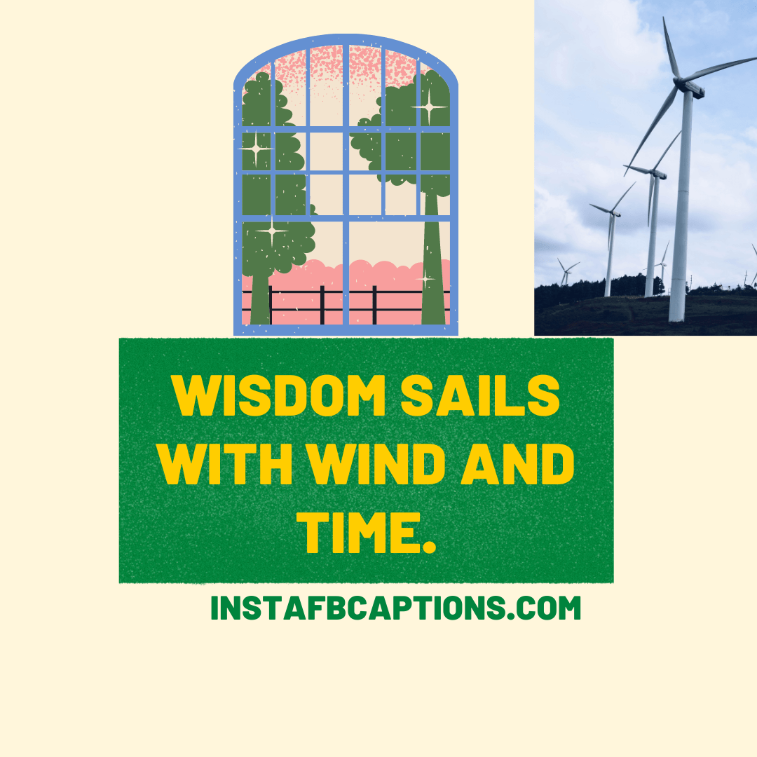 Cute Wind Captions For A Chill Day  - Cute Wind Captions For A Chill Day - 50+ Breezy WIND Captions &#038; Quotes For Instagram in 2022
