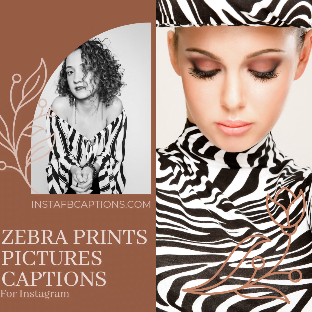 Zebra Print Picture Captions  - Zebra Print Picture Captions - 110+ Zebra Print Captions for Instagram Pictures in 2023