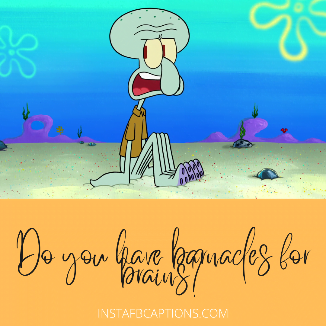 Handsome Squidward Tentacles Captions For Instagram  - Handsome Squidward Tentacles Captions for Instagram - Squidward Tentacles Instagram Captions &#038; Quotes in 2022