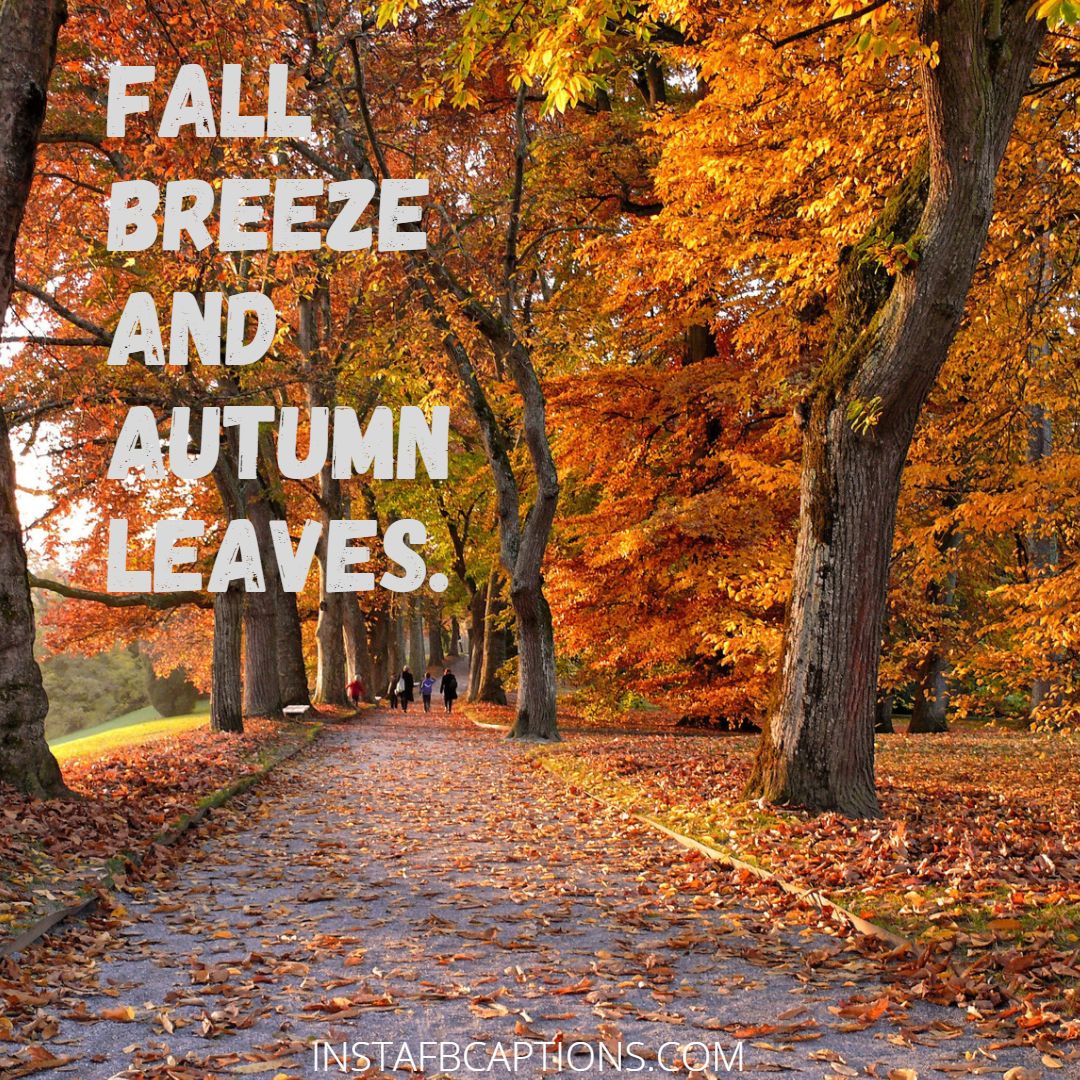 Hello! Autumn Captions  - Hello Autumn Captions - [Popular] OCTOBER FALL Captions Quotes for Instagram in 2023
