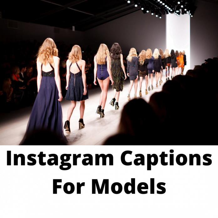 Instagram Captions For Models