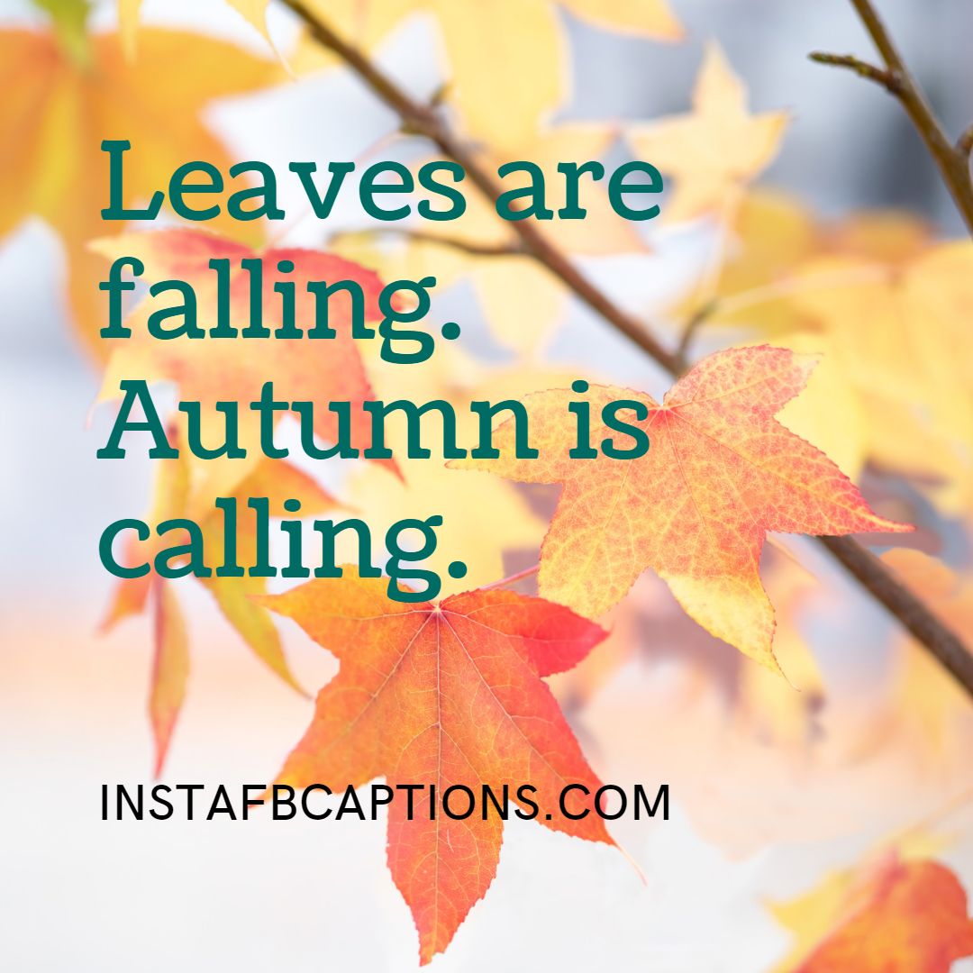 Photography Captions For Green Leaves  - Photography Captions for Green Leaves - 100+ OCTOBER FALL Instagram Captions &amp; Quotes for 2022