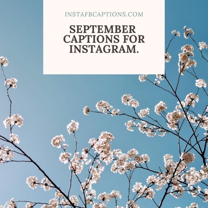 September Captions
