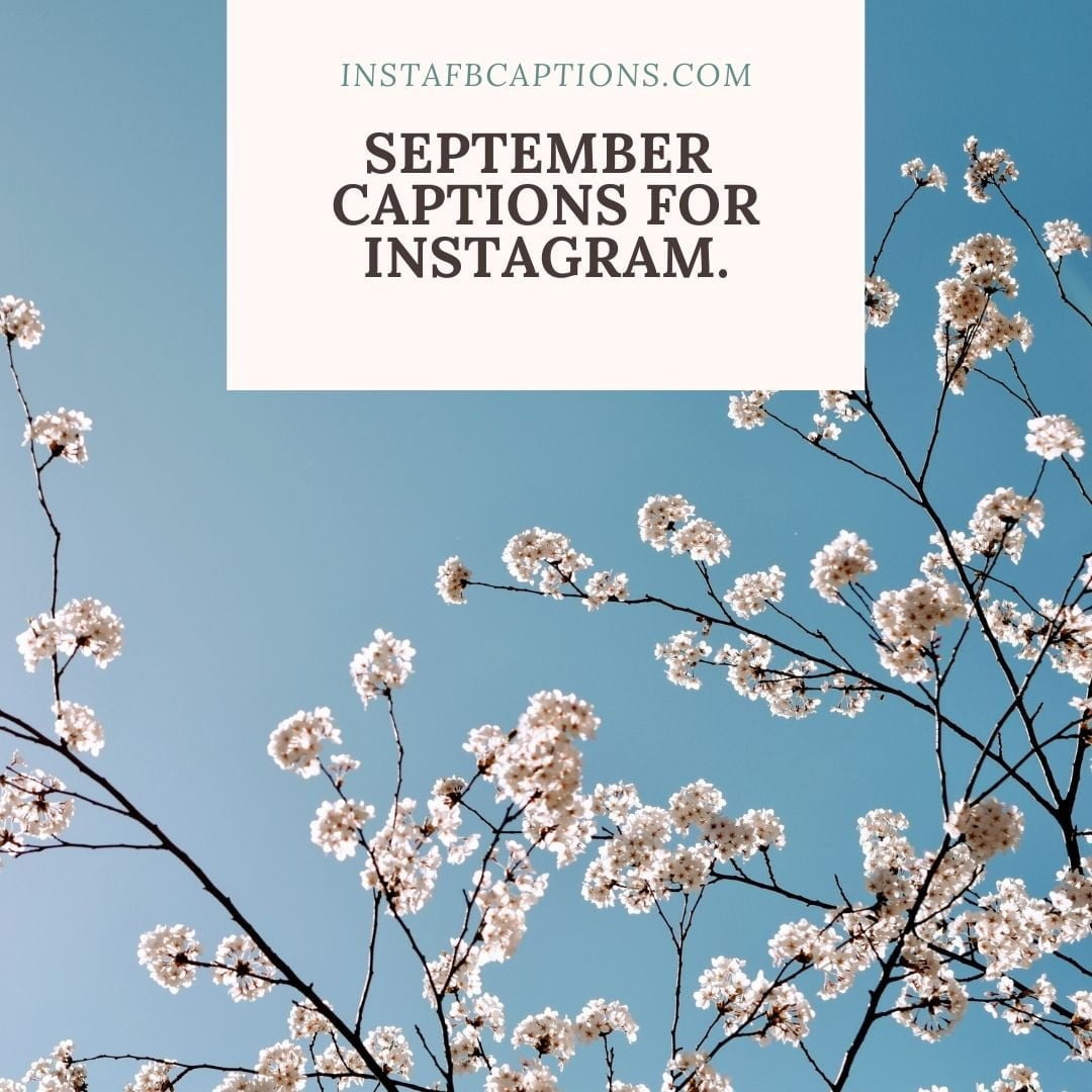 September Captions  - September Captions - SEPTEMBER Month Captions &#038; Quotes for Instagram in 2023