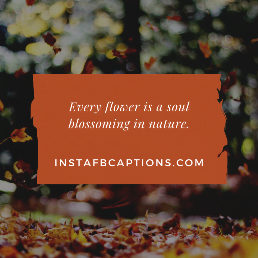[98+] Greenery Quotes Captions for Instagram in 2024