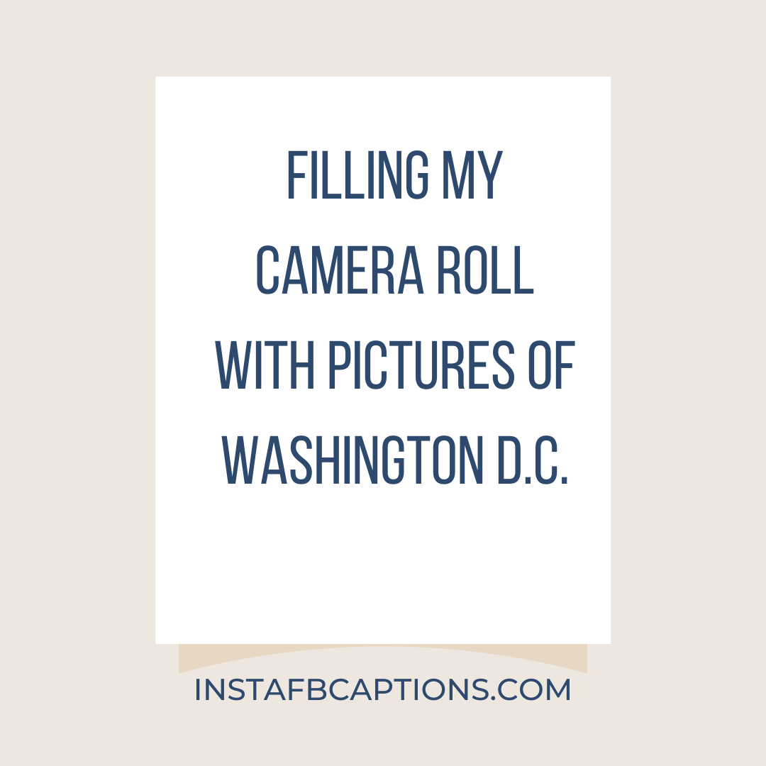 Capitol Hill Captions D.c. Thrills  - Capitol Hill Captions D - Washington DC Captions and Quotes for Instagram in 2023