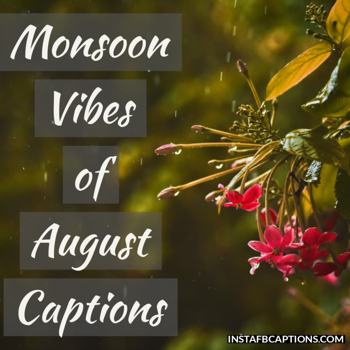 Monsoon Vibes Of August Captions