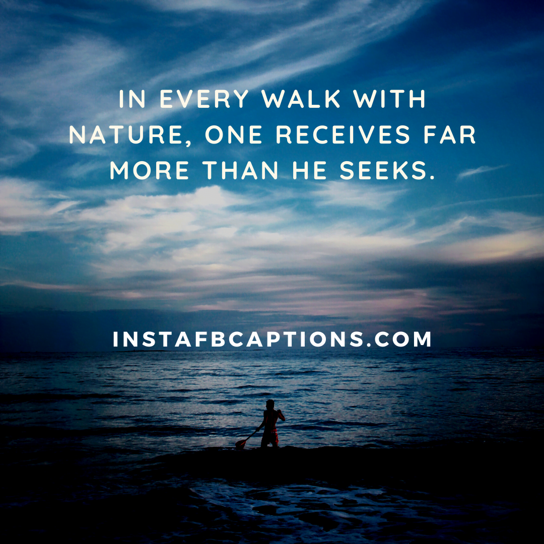 Motivational Quotes On Nature  - Motivational Quotes On Nature - [98+] Greenery Quotes Captions for Instagram in 2022