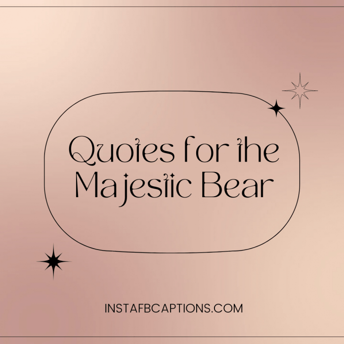 Quotes For The Majestic Bear