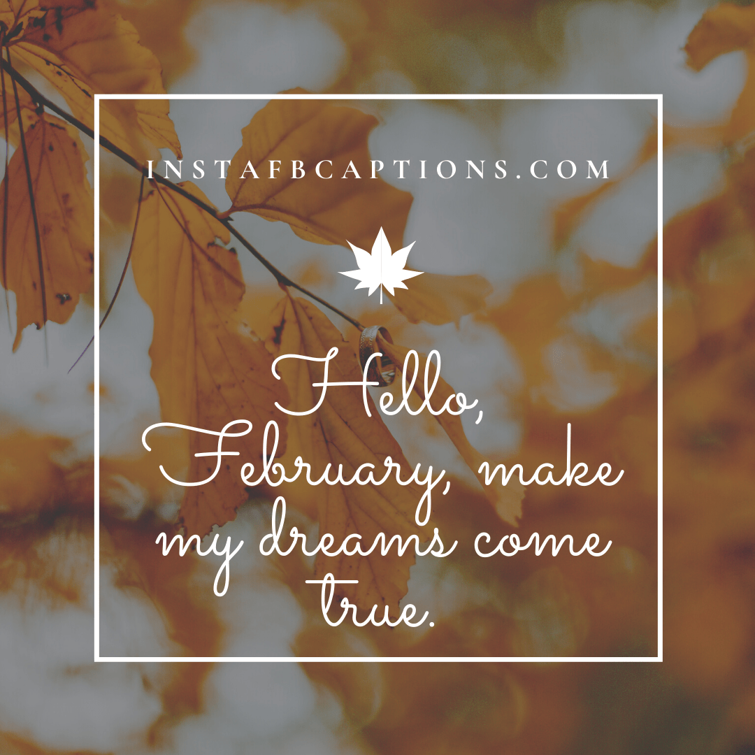 Say Hello To February Captions  - Say Hello to February Captions - [New] February Instagram Captions Quotes in 2023