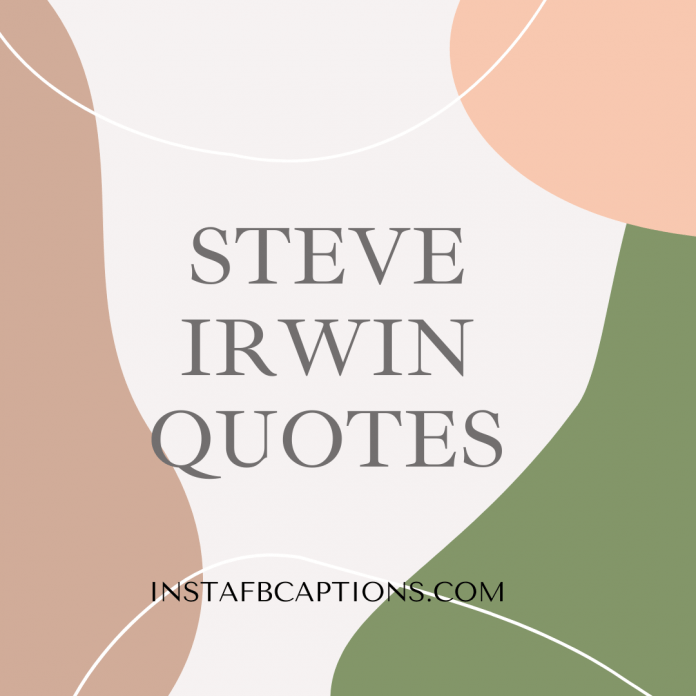 Steve Irwin Quotes