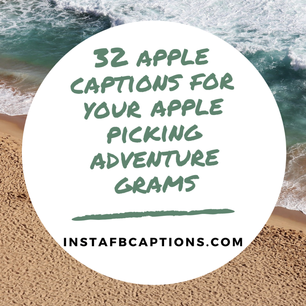 APPLE Picking Instagram Captions and Quotes in 2024 InstaFbCaptions