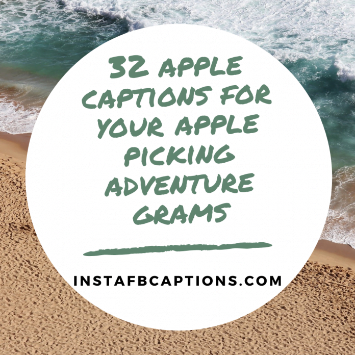32 Apple Captions For Your Apple Picking Adventure Grams