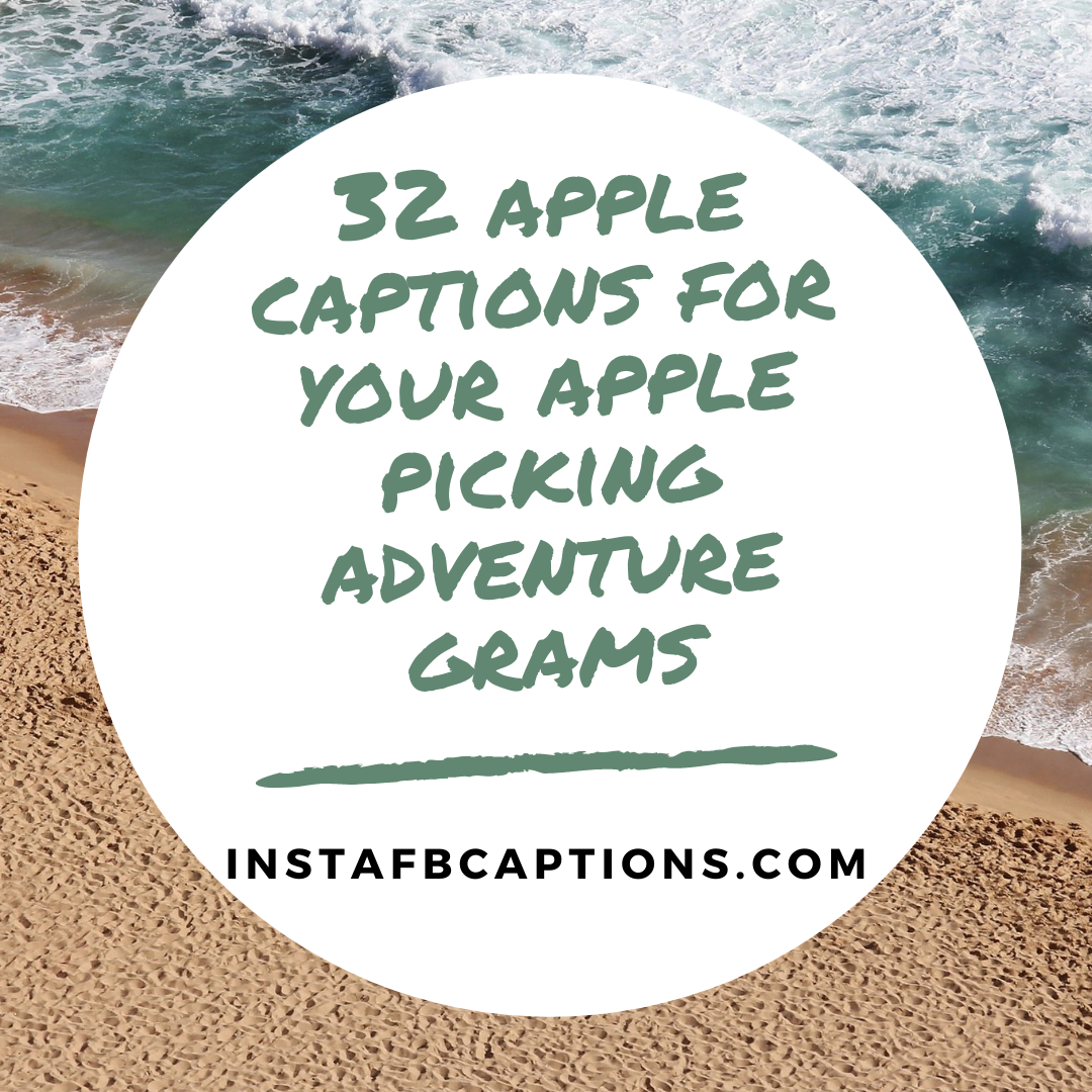32 Apple Captions For Your Apple Picking Adventure Grams  - 32 apple captions for your apple picking adventure grams - APPLE Picking Instagram Captions and Quotes in 2022