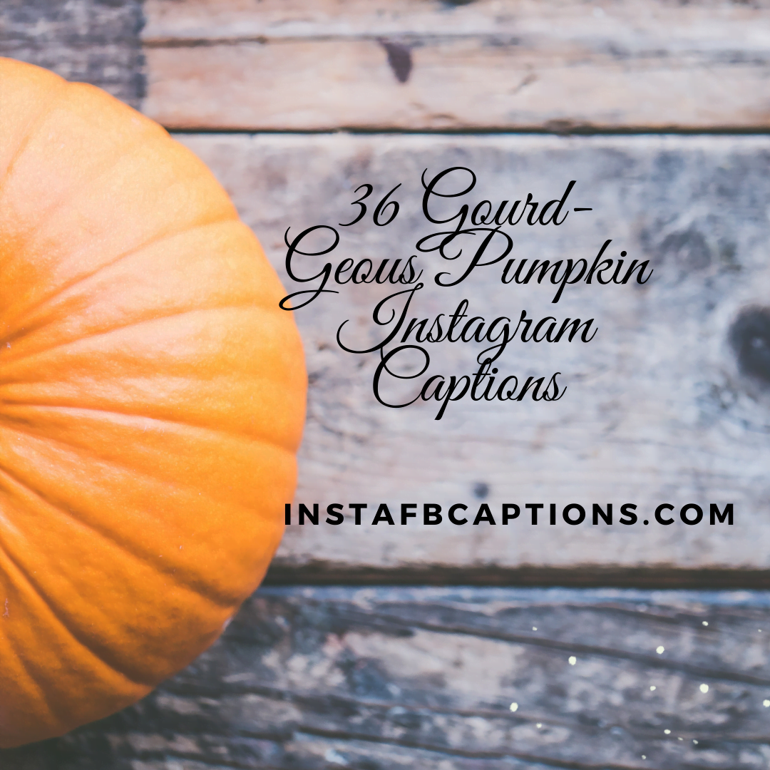 36 Gourd Geous Pumpkin Instagram Captions  - 36 Gourd Geous Pumpkin Instagram Captions - 36 Gourd-Geous Pumpkin Instagram Captions in 2023